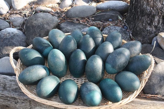 esperando nuevos huespedes